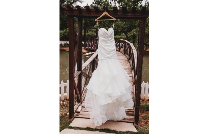 "Which Earlier Provided An Amazing Backdrop For Bride's Gown!"