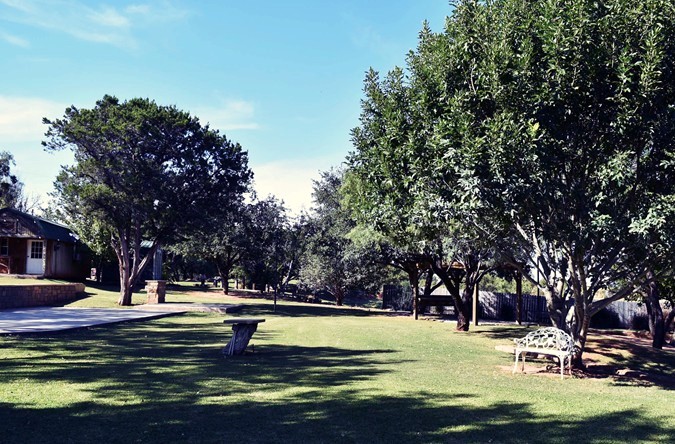 "And The Lovely White Bench"