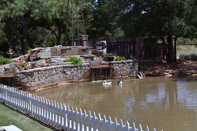"Ducks Swiming Near Tank Waterfalls"