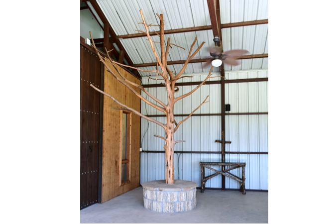 "Varnished Tree"