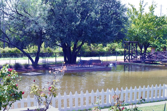 "The Geese & Ducks Can Often Be Found In This Area"