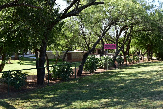 "New Sign & New Fig Trees Along Venue Fence"