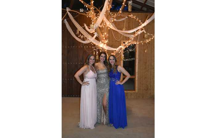 "Snapshots With Lighted & Decorated Tree In Pavilion"