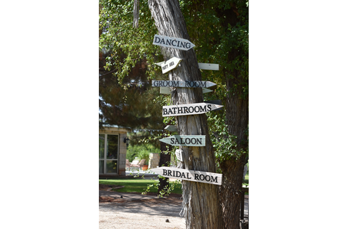 "New Sign Post Tree Points You In the Right Direction!"