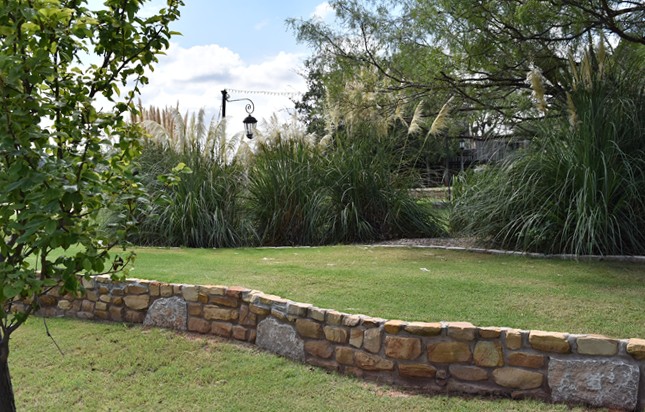 "Pampa Grass & Lamp Post Make a Great Backdrop for Photos"