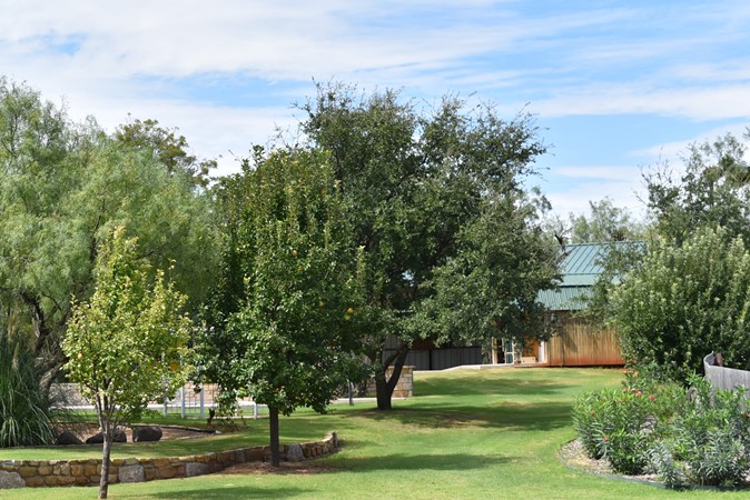 "Wide View of End of Walkway"
